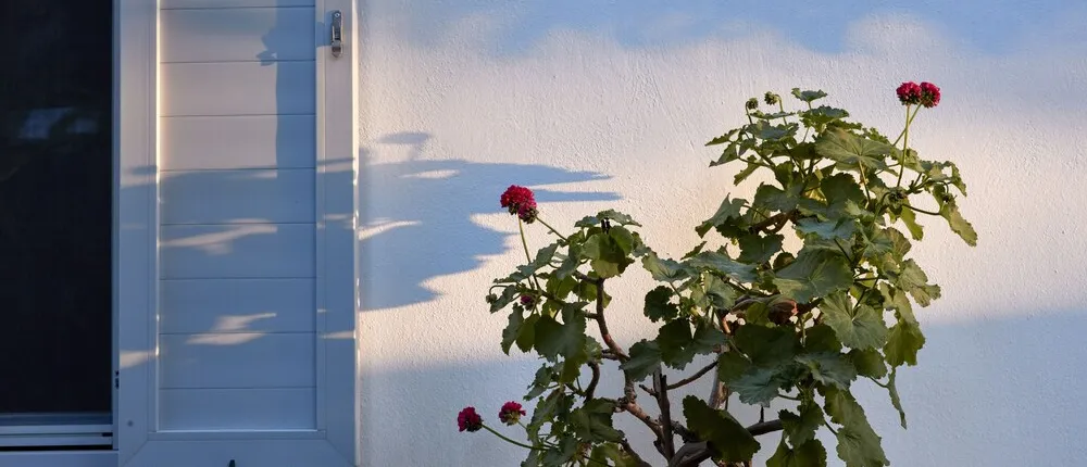 Mykonos Town Suites