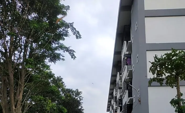 SPOT ON 92474 Penginapan Rusunawa Ii
