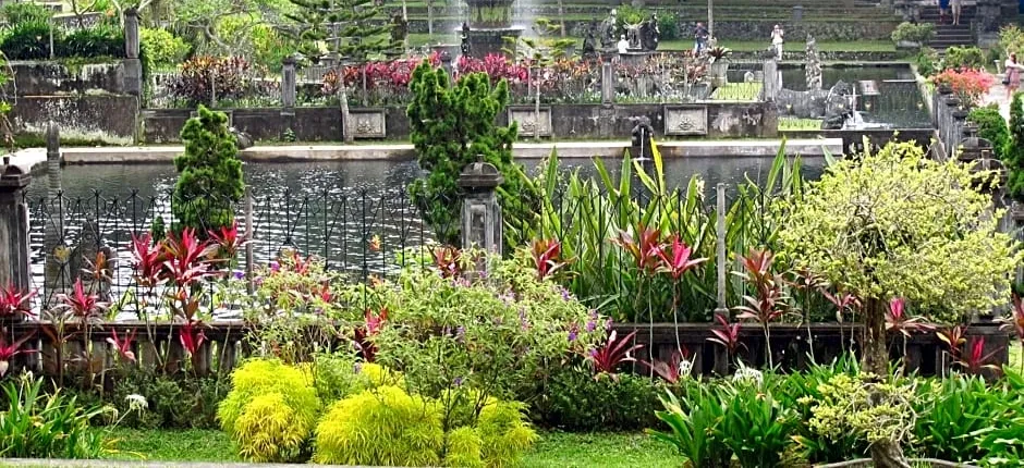 Dhangin Taman
