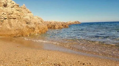 Il Fenicottero Rosa