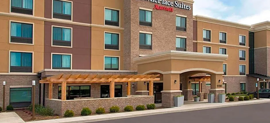 TownePlace Suites by Marriott Lexington South/Hamburg Place