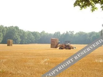 Shady Acres Bed and Breakfast