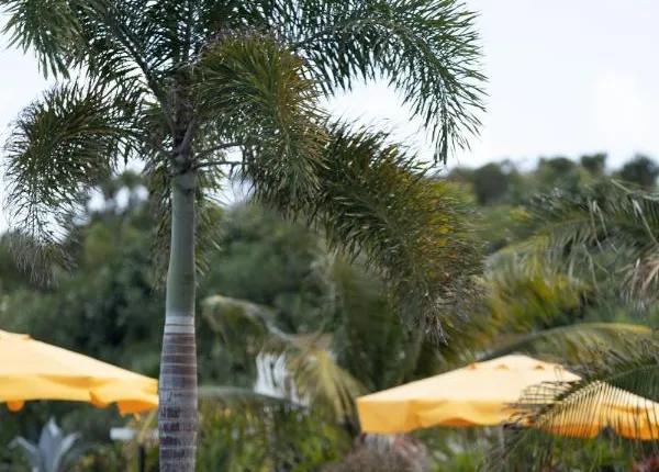 Golden Rock Resort, Dive & Nature Resort