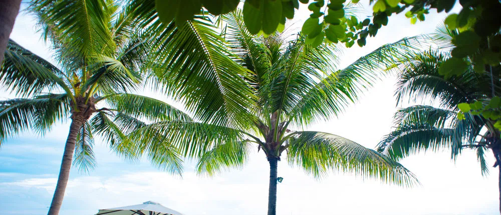Vinh Hung Riverside Resort & Spa