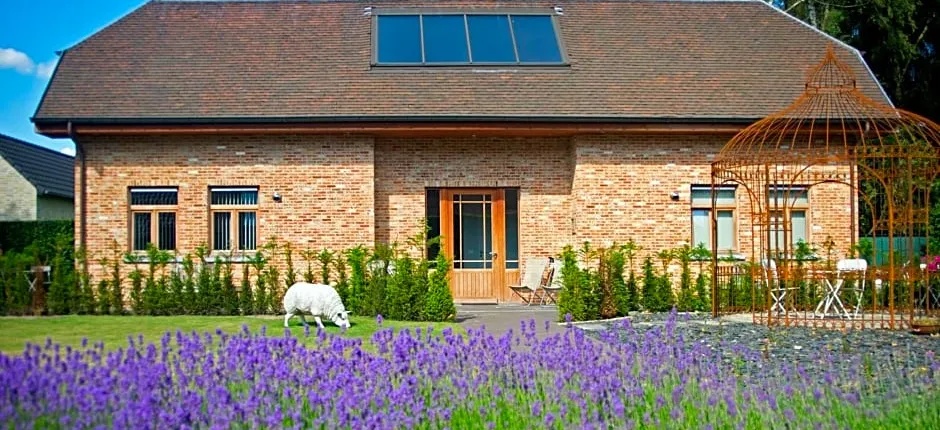 B&B Gielse Garden