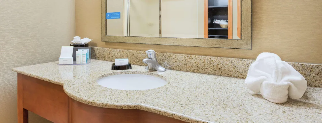 HAMPTON INN PETERSBURG-SOUTHPARK MALL