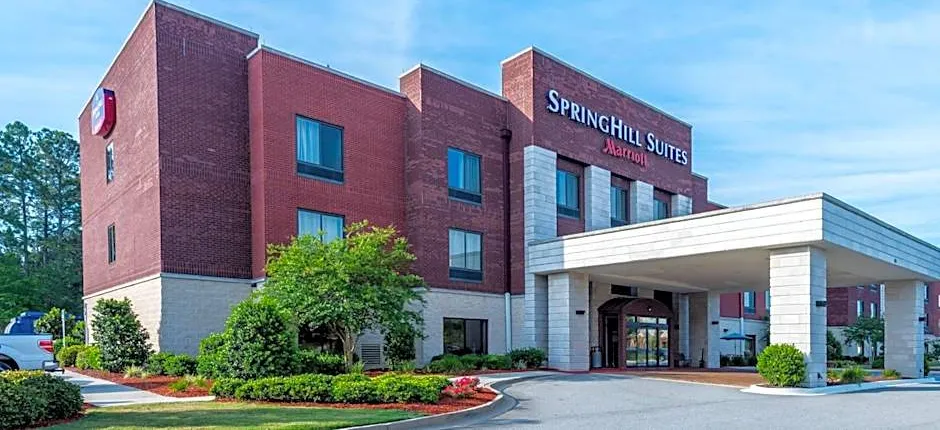 SpringHill Suites by Marriott Statesboro University Area