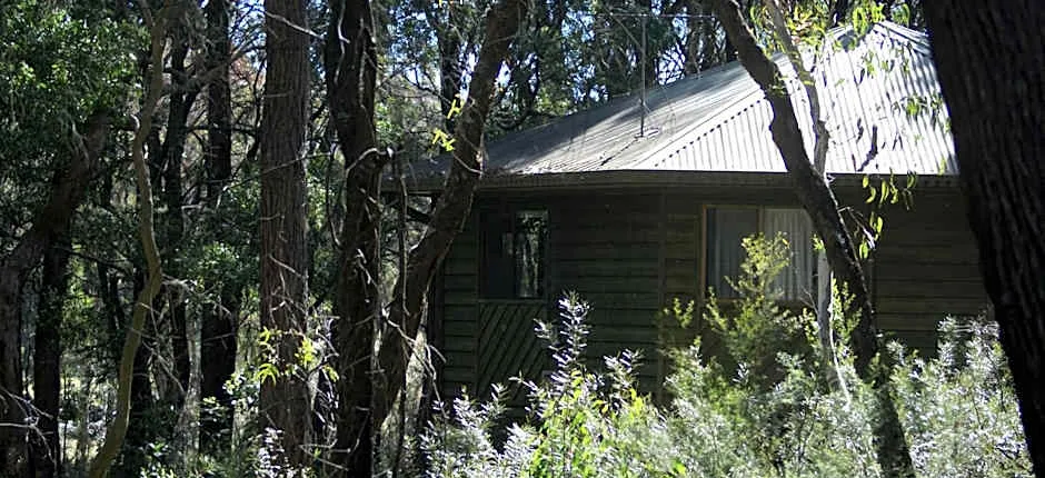 Twin Falls Bush Cottages