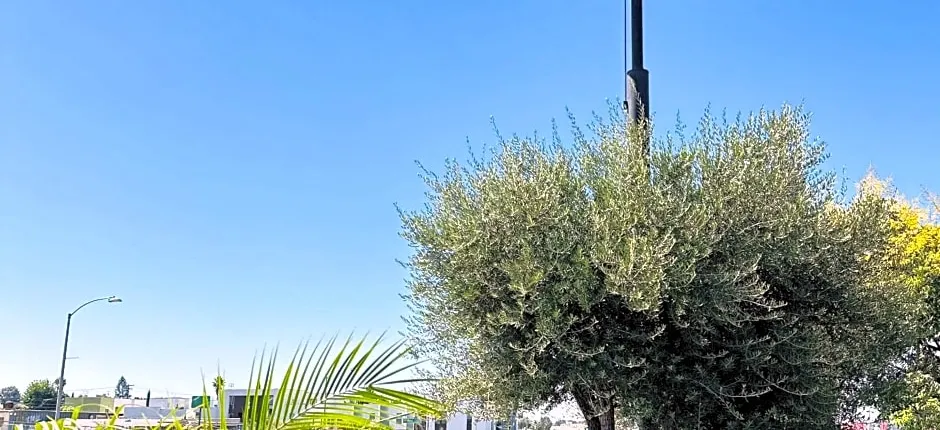 Rodeway Inn Lemon Grove San Diego East