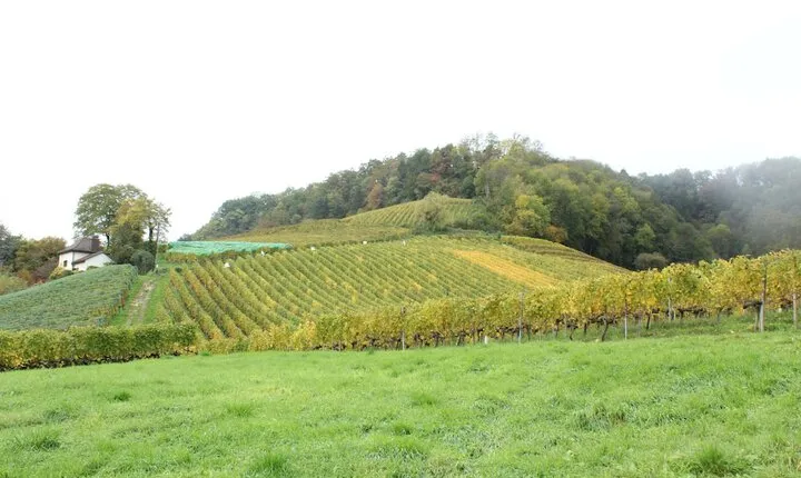 Murtenhof & Krone