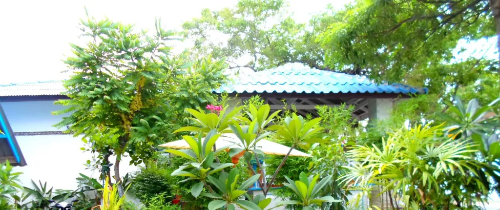 Bangrak Bungalow