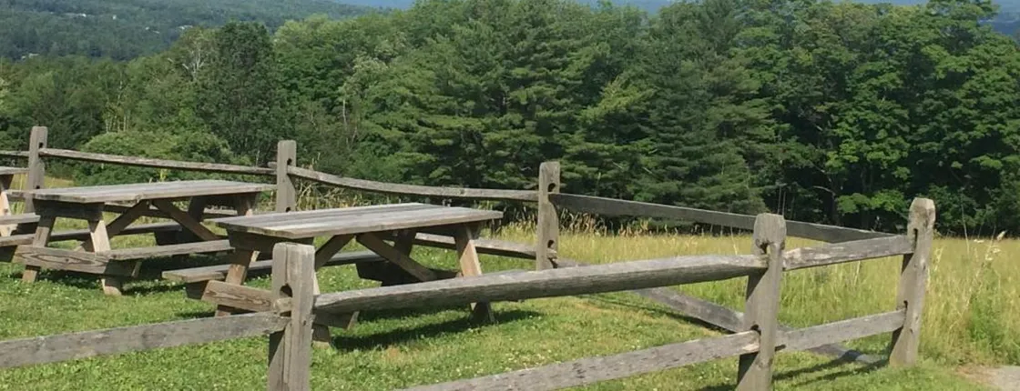 Grey Fox Inn & Resort