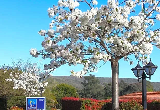 Hume Country Motor Inn