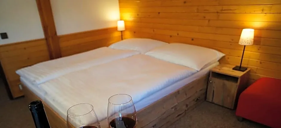 Penzion Čistá
