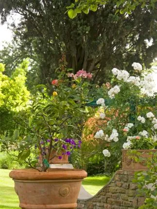 Casa Rosa