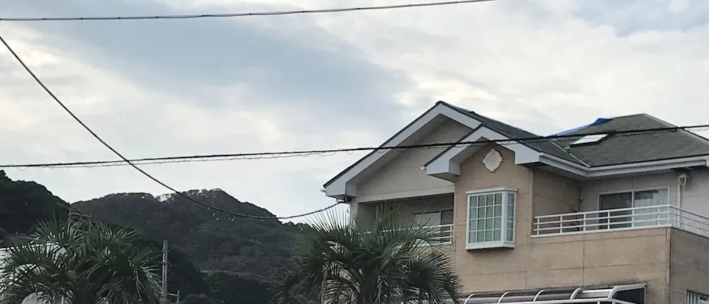Palm Village