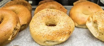 LeTap Hotel JFK Airport, Jamaica