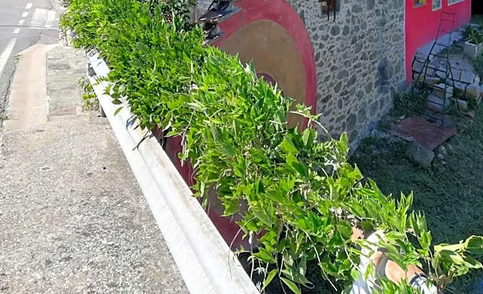 B&B e Locazioni Turistiche Antico Borgo Toscano