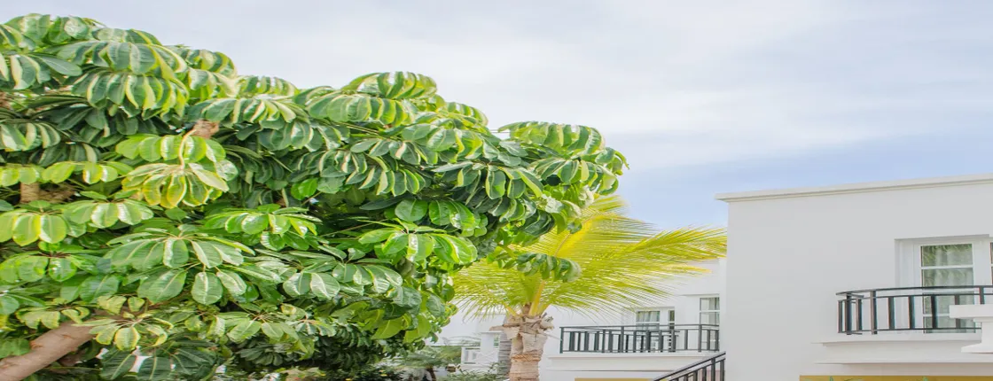 Parque del Sol