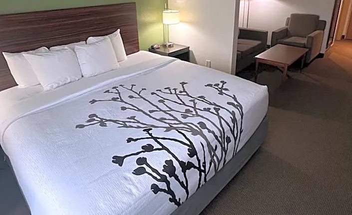Sleep Inn & Suites Conference Center Eau Claire North