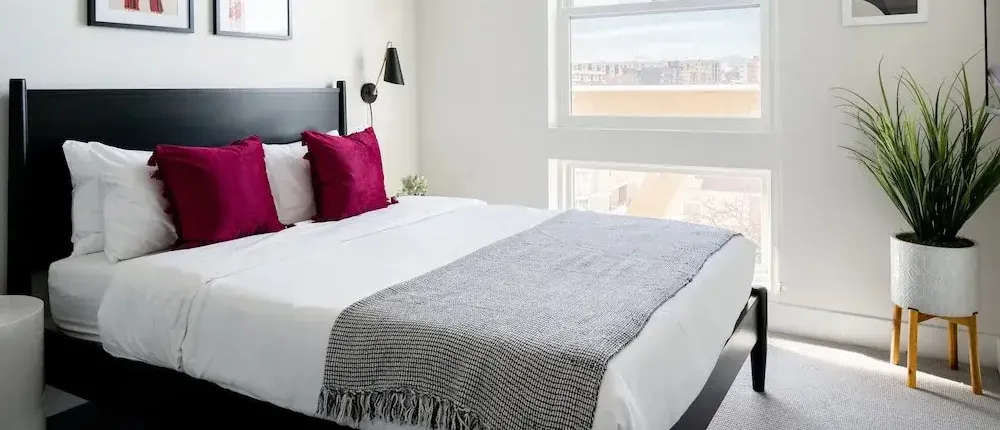 Serenity in Style | Espadin LoHi