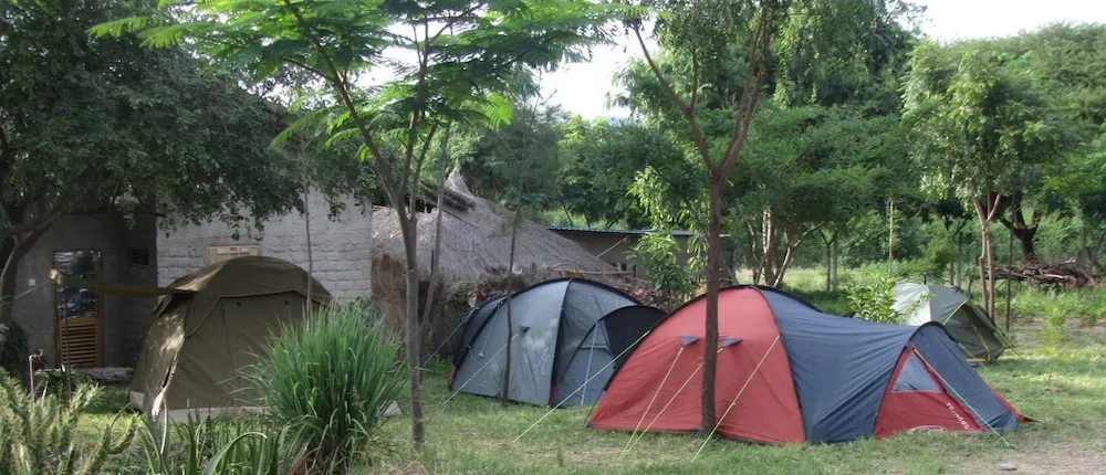 Tembea Mara