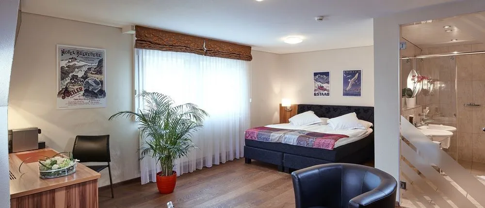 Hotel Ambassador Brig