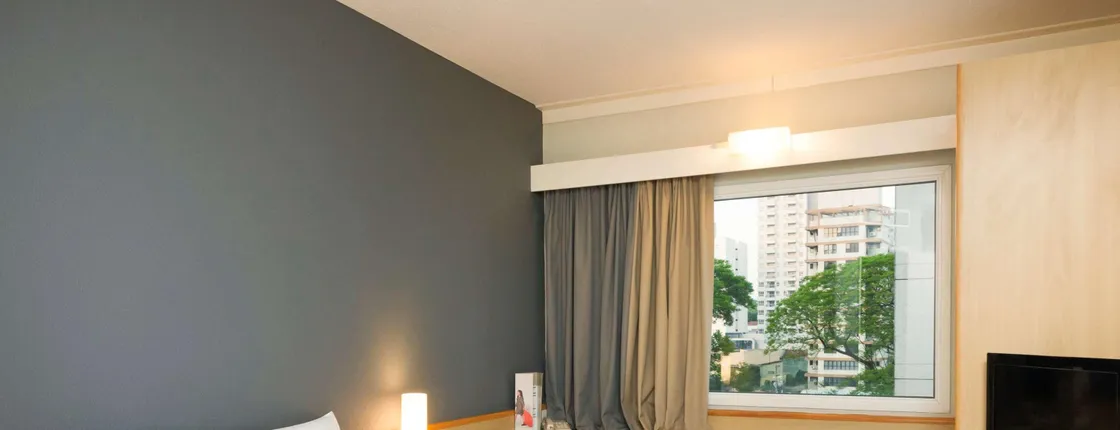 Ibis Campinas