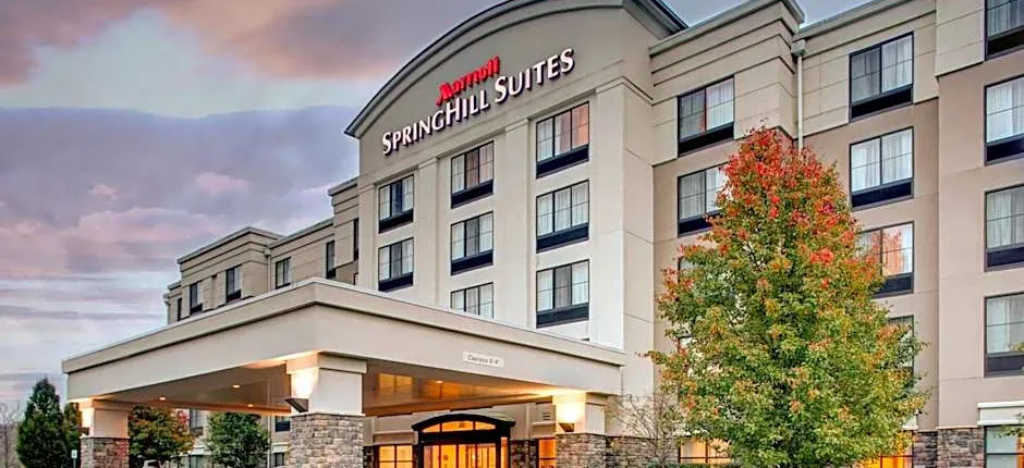 SpringHill Suites by Marriott Wheeling Triadelphia Area