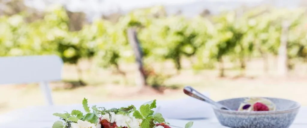 Spicers Vineyards Estate