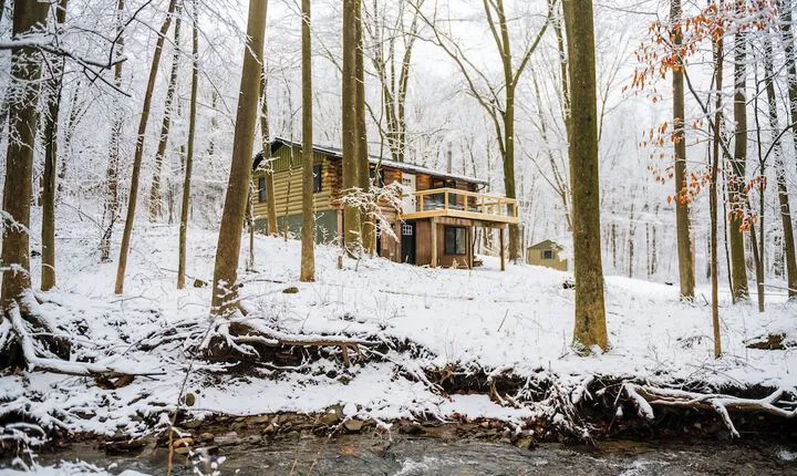 Secluded Naples Cabin w / Deck & Stream Views