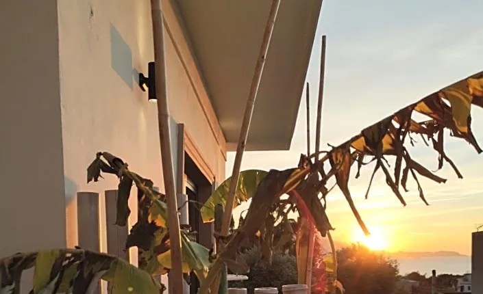 B&b Villa Rosalia