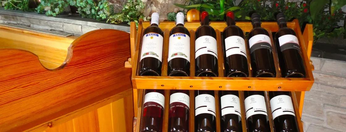 Hotel Chalet Olympia