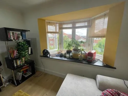 The Stylish Yellow Flat