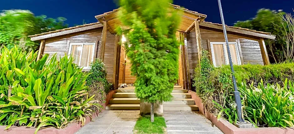 Palette - Sunny's World