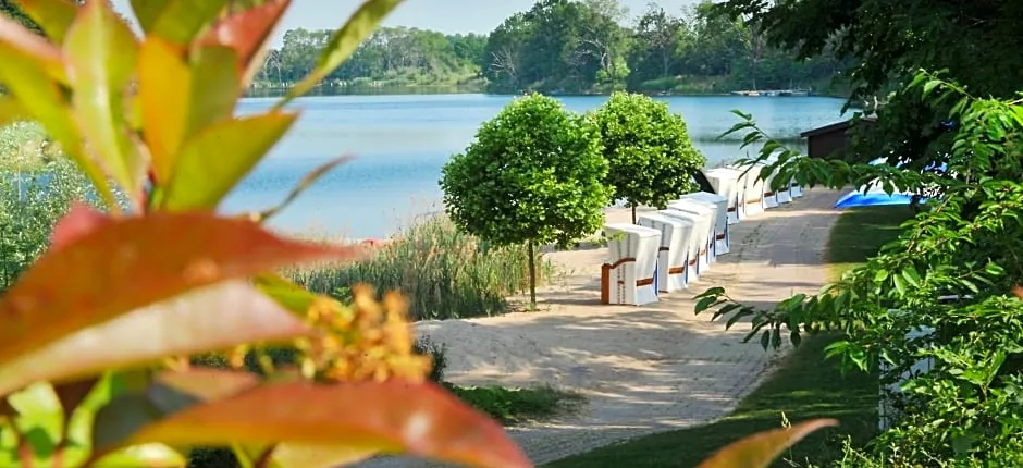 Bernstein Acamed Resort