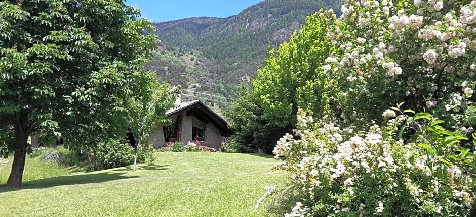 La Pâquerette