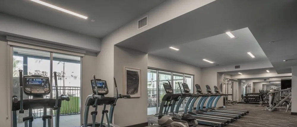 Sonder - The Millennium