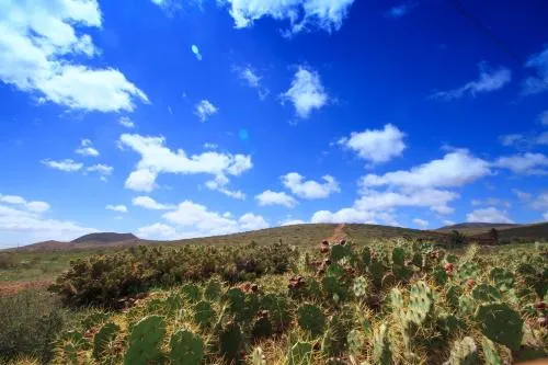 MONTAÑA VALLES DE ORTEGA -C