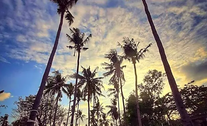 AMIGOS BUNGALOWS GILI MENO