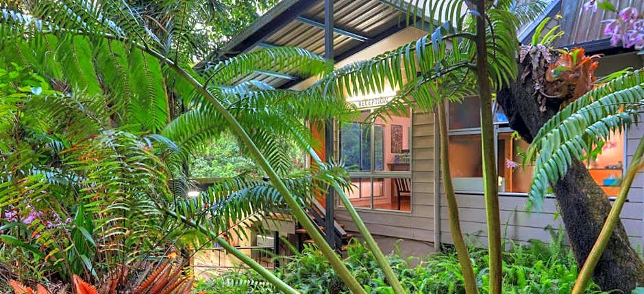 Chambers Wildlife Rainforest Lodges