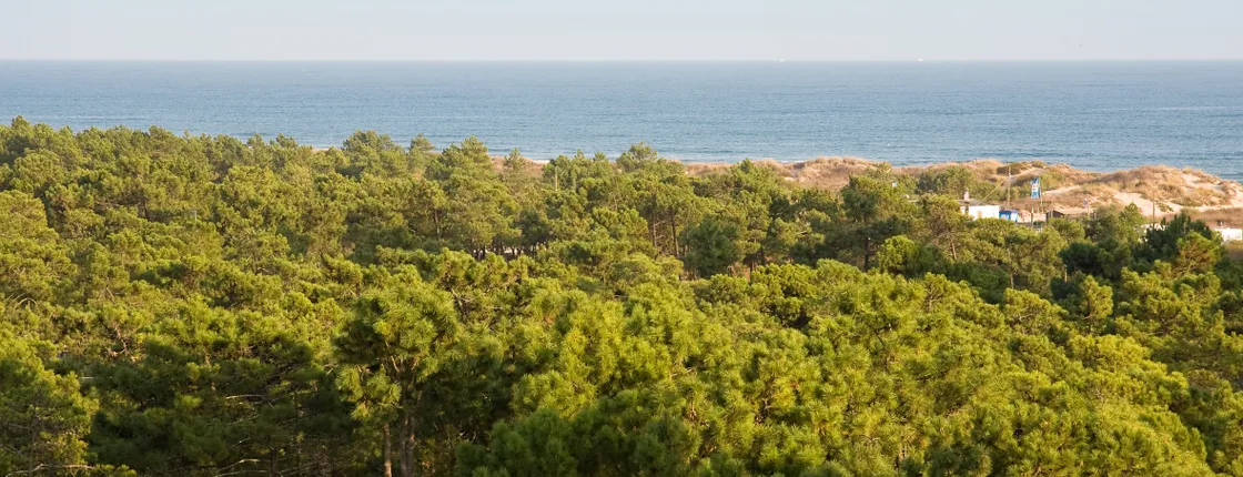 Monte Gordo Hotel Apartamentos & Spa