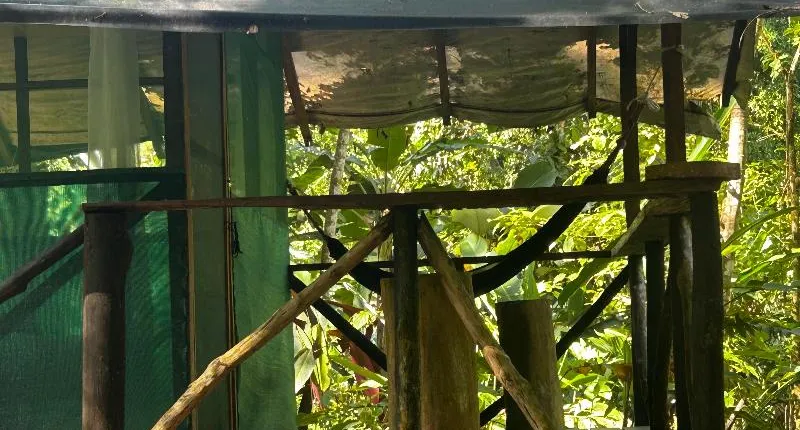 Rio Agujitas Eco Farm Hostel And Tours