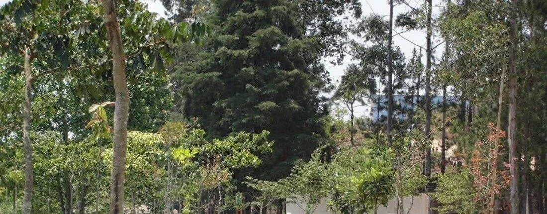 Hotel Fazenda Pirâmides