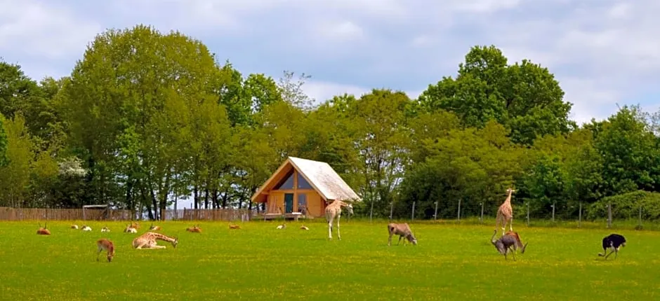 Les Lodges Du Reynou