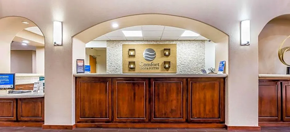Comfort Inn & Suites Airport-American Way