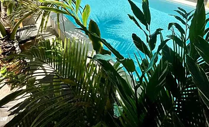 Nakupenda paje villa