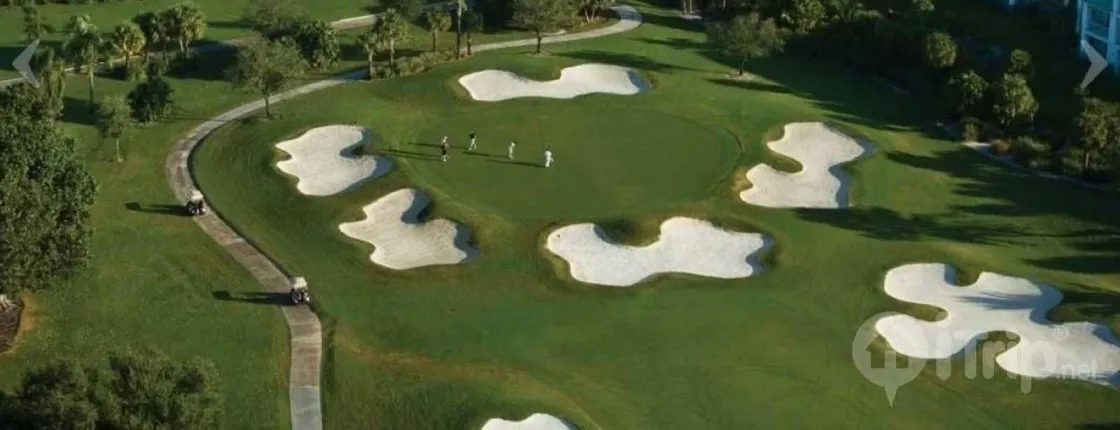 Provident Doral At The Blue