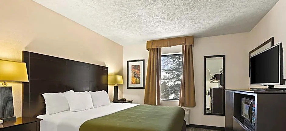 Quality Inn