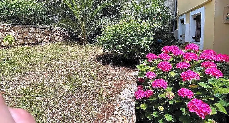 Sunflower Apartments